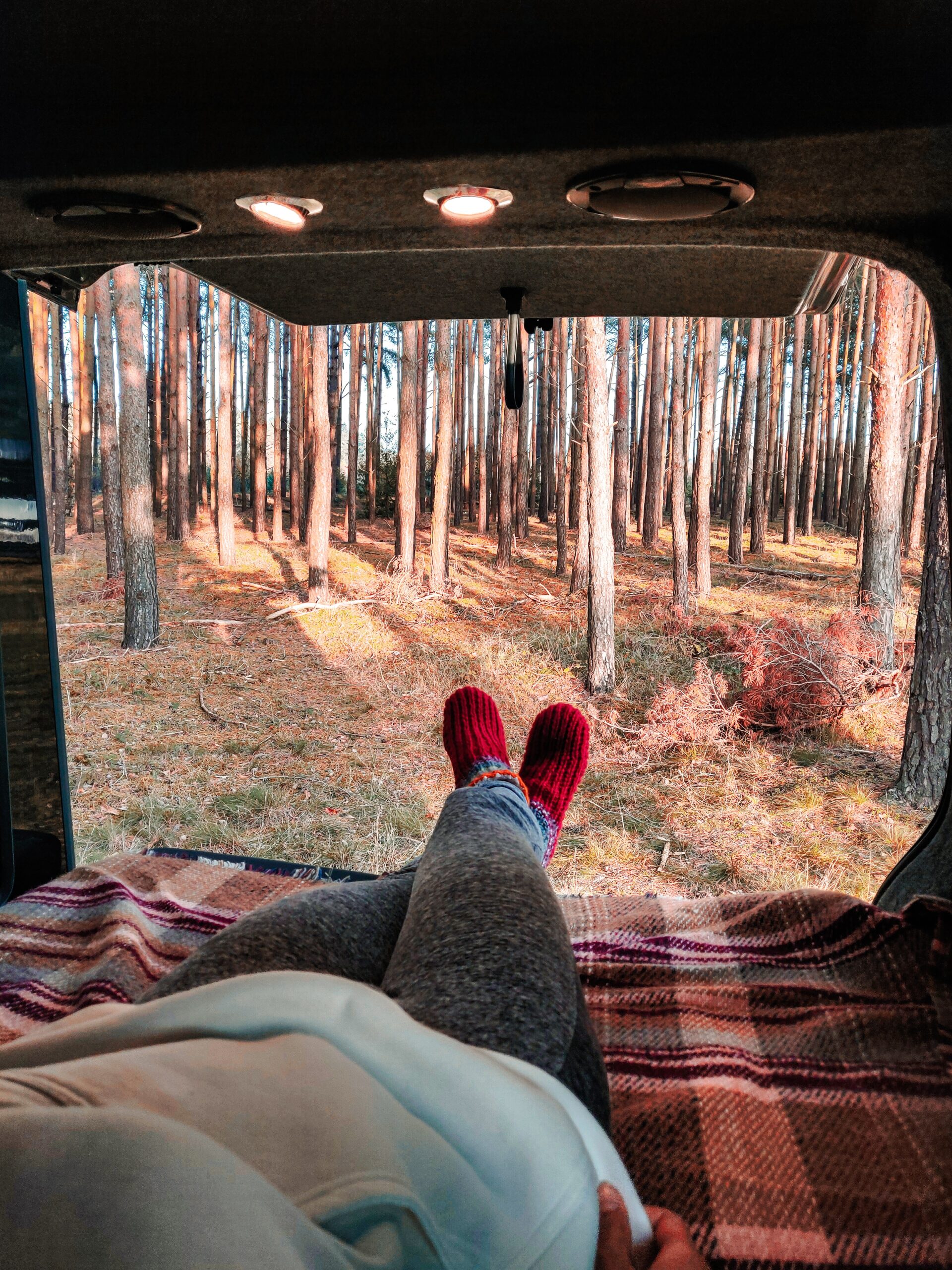 Healthy habits for developers working remotely