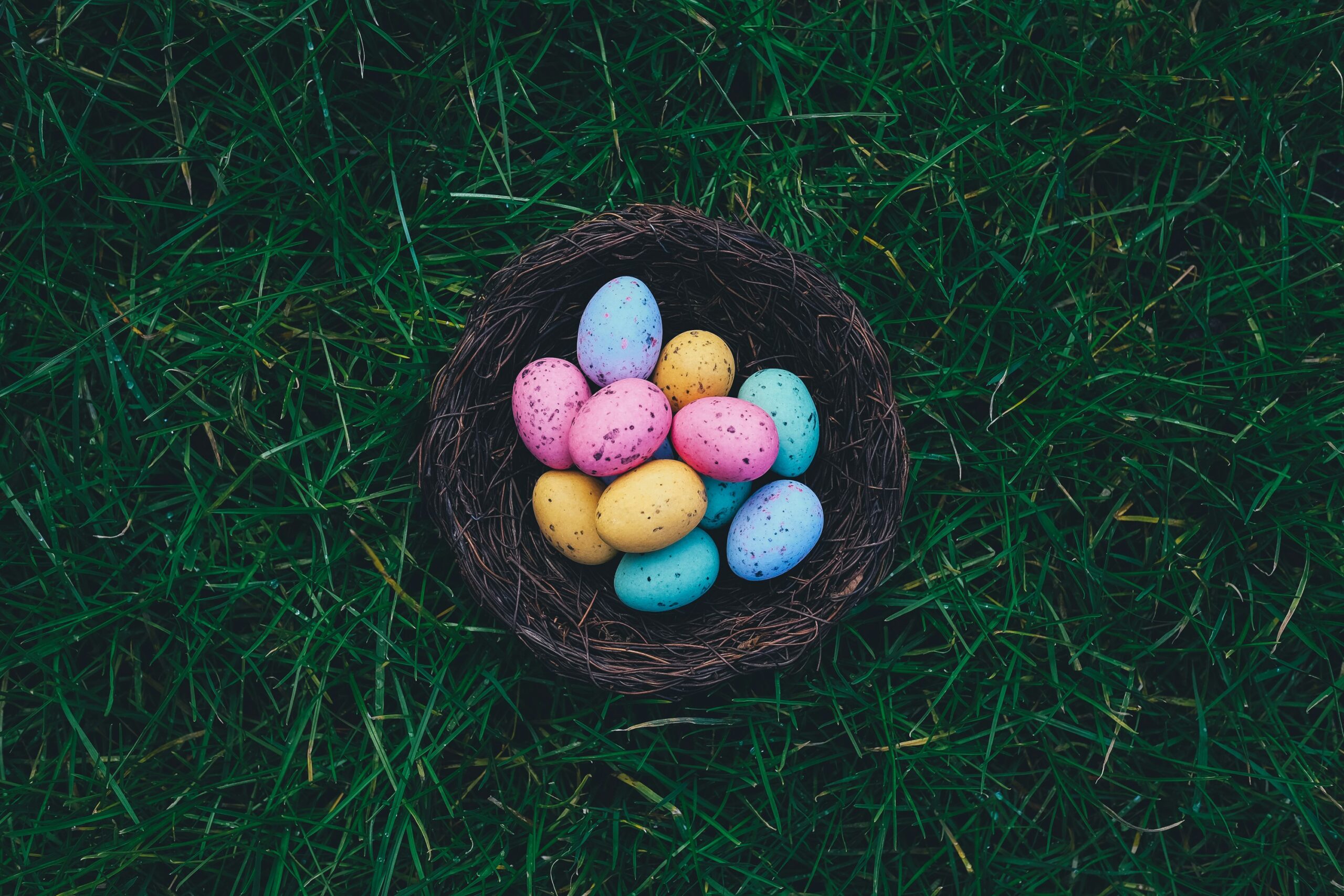 Happy Easter Holiday