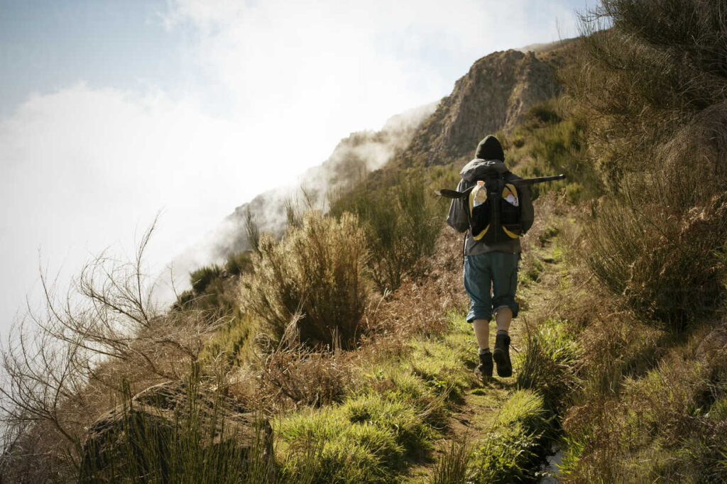 Madeira, where spring never ends. Digital Nomad Guide