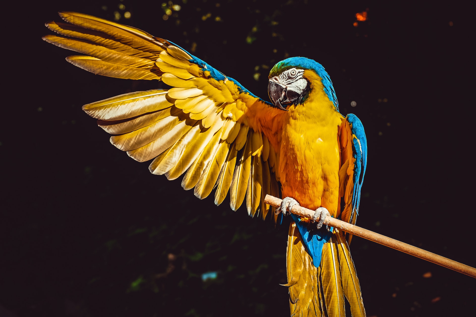 LangChain is a new Python Vstorm