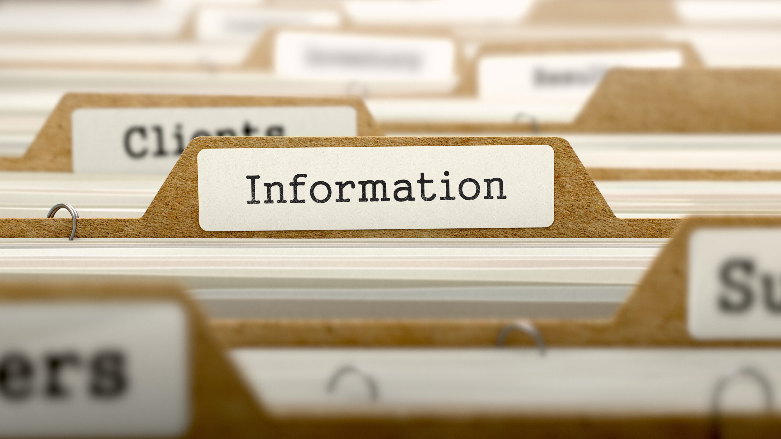 Information Extraction AI