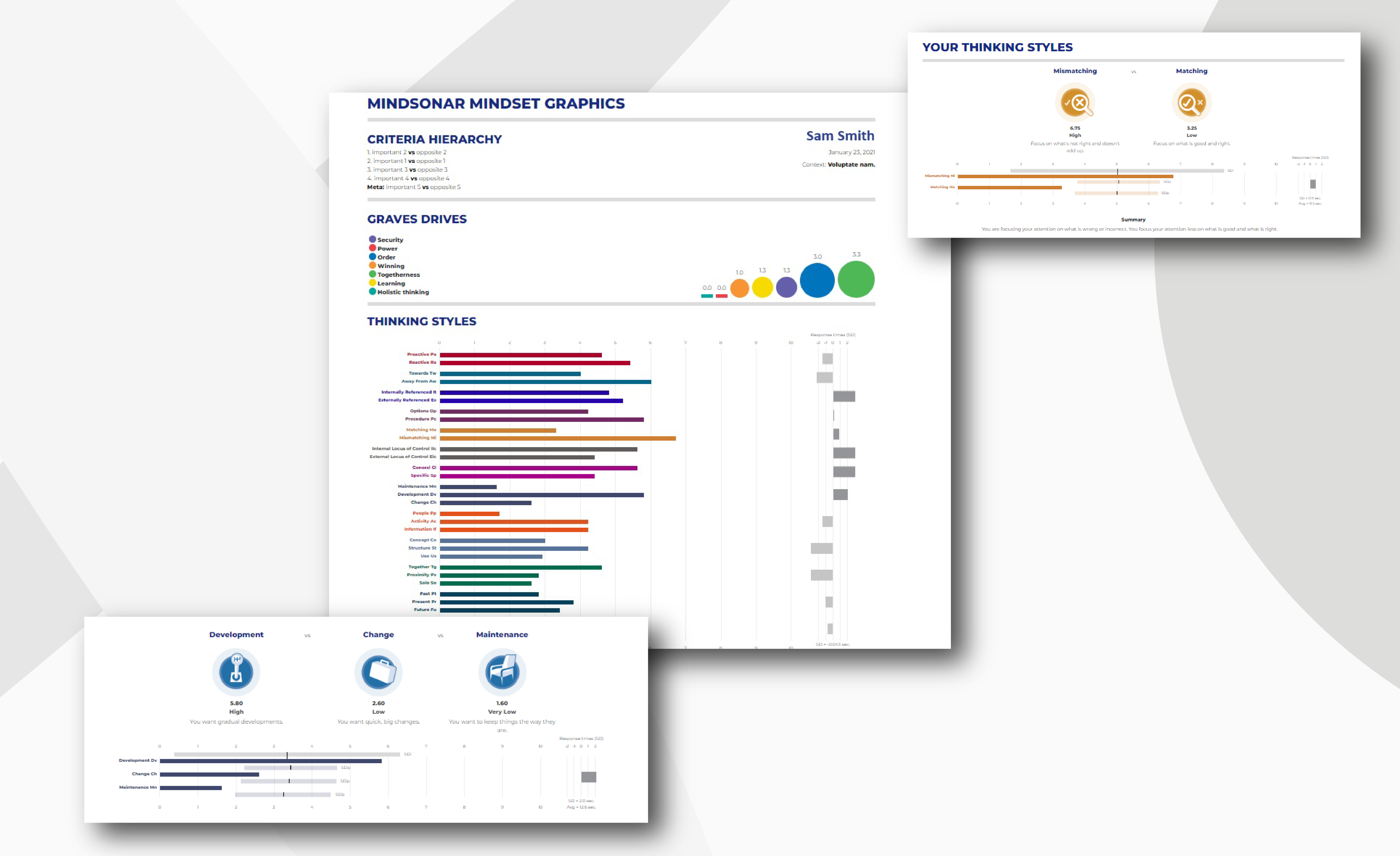 Example MindSonar digital report prepared with Vstorm